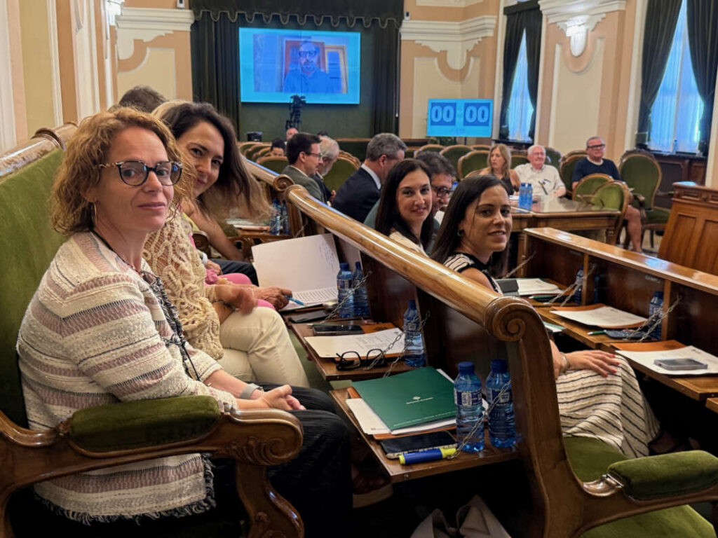 Pleno Castellón de junio 2026