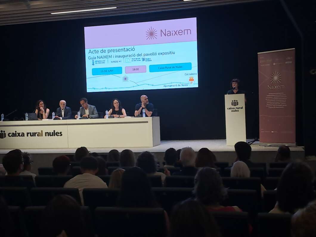 Panel of six speakers seated at a long white table on a stage, with a presenter at a podium and a large screen showing the Naixem logo behind them.