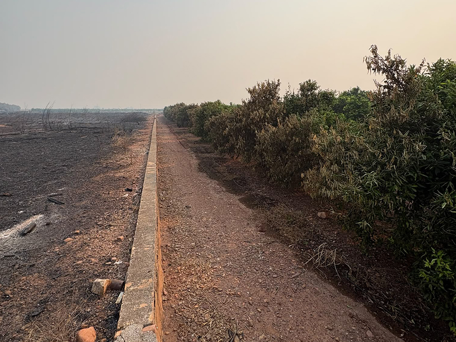 AVA-ASAJA pide un cambio en la prevención tras los daños del incendio en la Serra d’Espadà