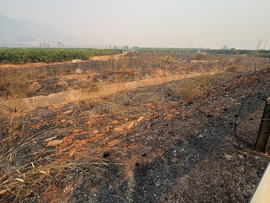 AVA-ASAJA pide un cambio en la prevención tras los daños del incendio en la Serra d’Espadà