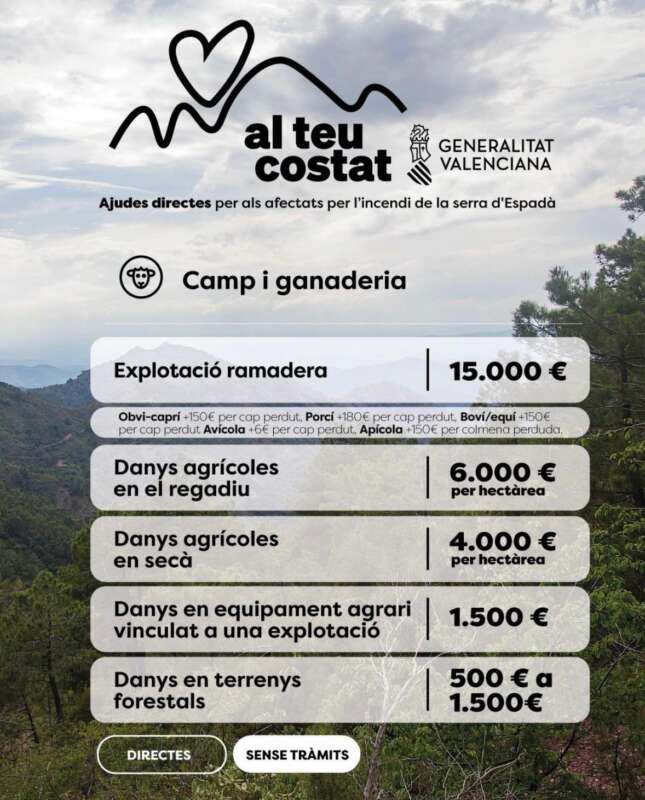 La Generalitat moviliza 67 millones en ayudas para los afectados por el incendio de La Vall d'Uixó