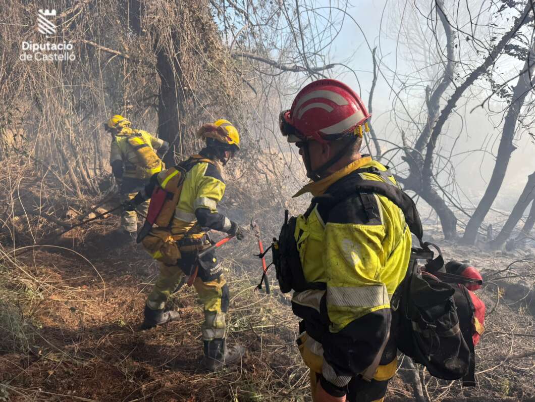Firefighters in yellow gear and red helmets work through a smoke-filled forest as flames and charred trees surround them.