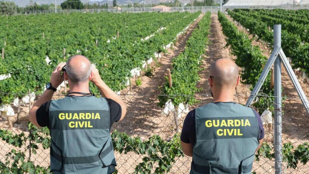 Los robos en el campo valenciano caen un 30 %, pero baja su resolución