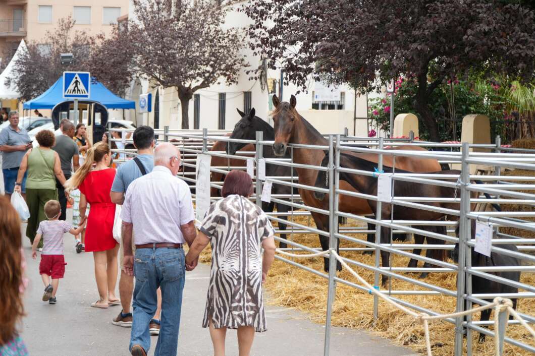 Family and visitors walk along a sidewalk past a row of horse pens at a public event. A blue tent and trees are in the background.