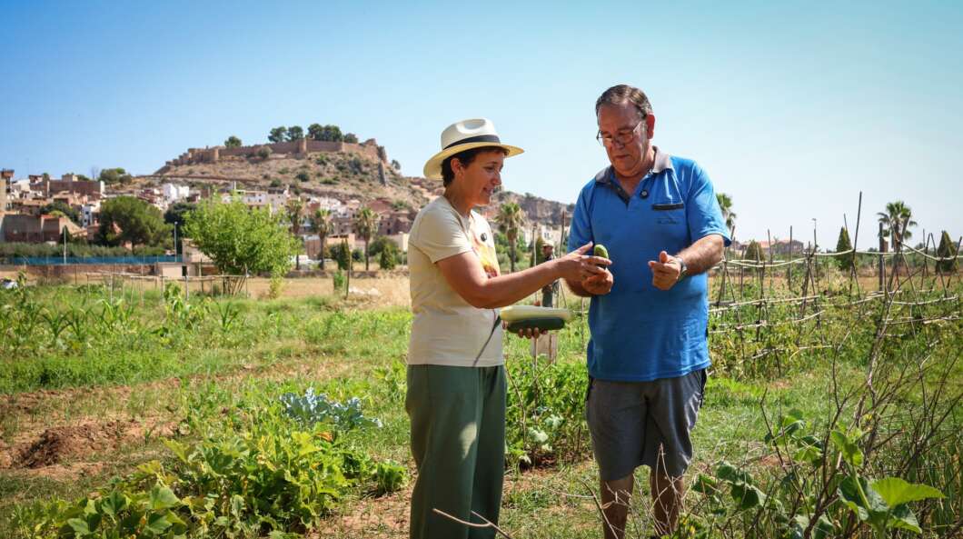 Two adults harvest vegetables in a sunny rural garden; a man in a blue shirt shows a cucumber to a woman wearing a hat.