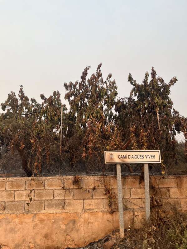 Campos dañados por incendio forestal 