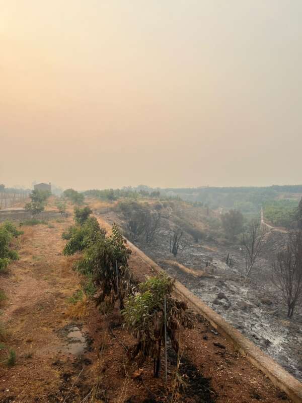 Campos dañados por incendio forestal 