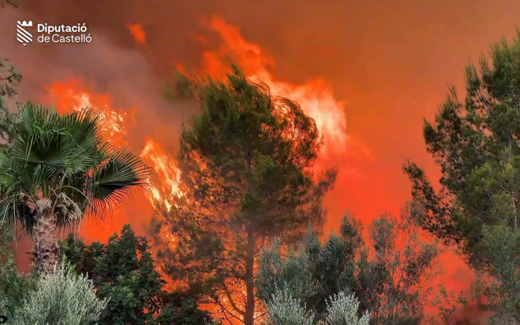 Forest fire engulfing trees with bright orange flames; Diputació de Castelló logo in top-left corner.