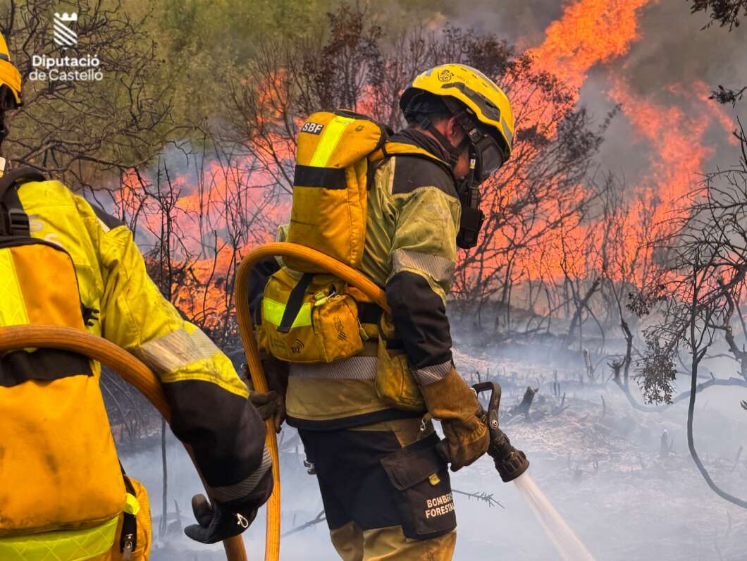 Firefighters in yellow turnout gear spraying water on a forest fire with flames and smoke in the background.