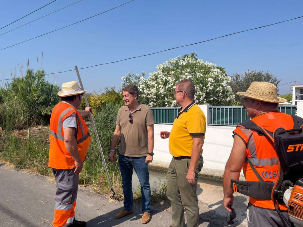 Castellón refuerza la limpieza de los caminos de la Marjalería a petición de los vecinos
