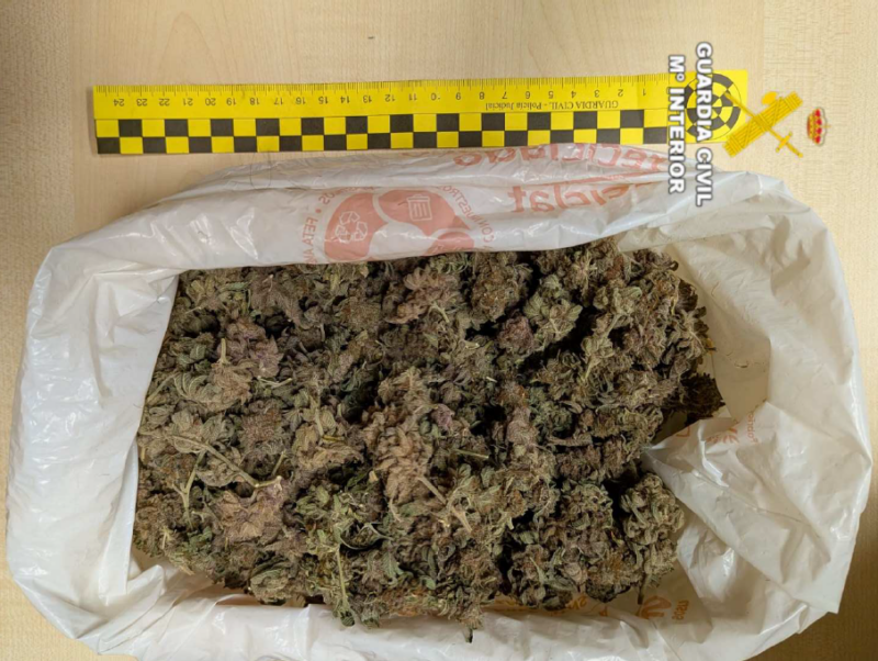 Seized cannabis buds in a white bag next to a yellow and black measurement ruler, with Guardia Civil watermark indicating a police evidence photo.