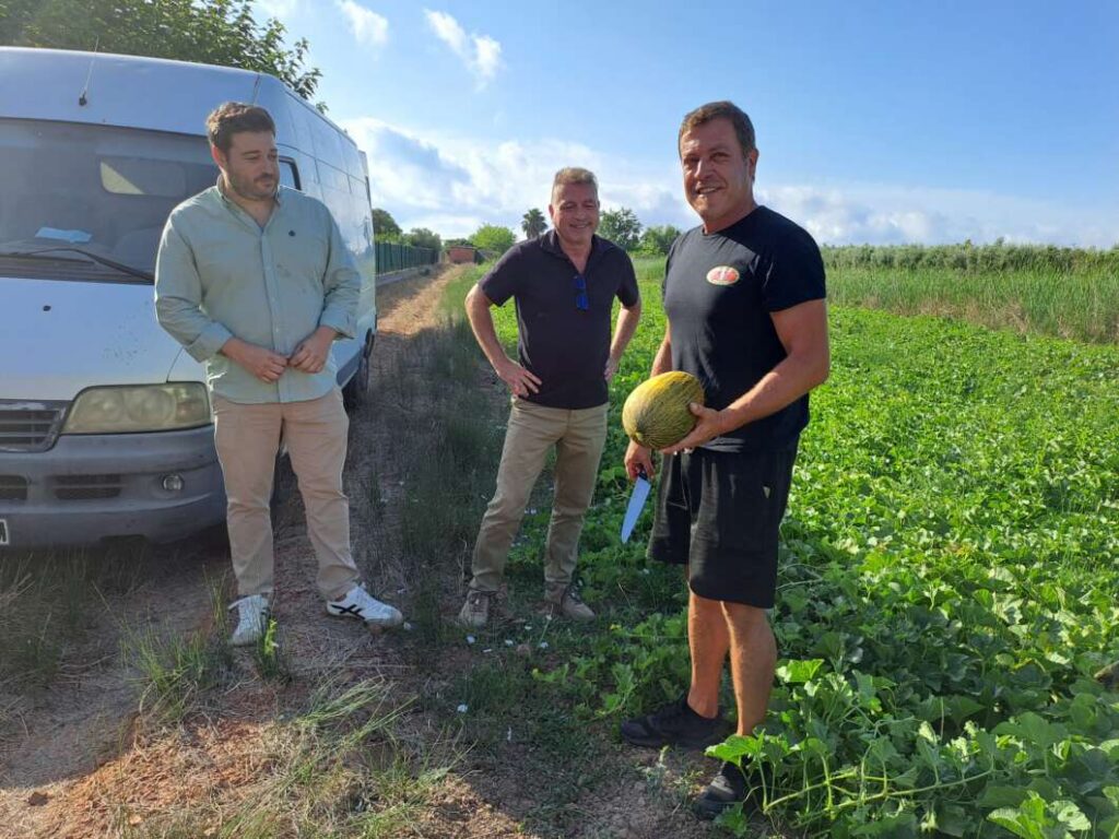 Nules inaugura la campaña del melón de la marjal para promocionar los productos locales