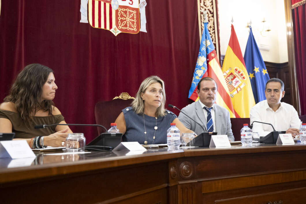 Marta Barrachina pleno Diputació Castelló