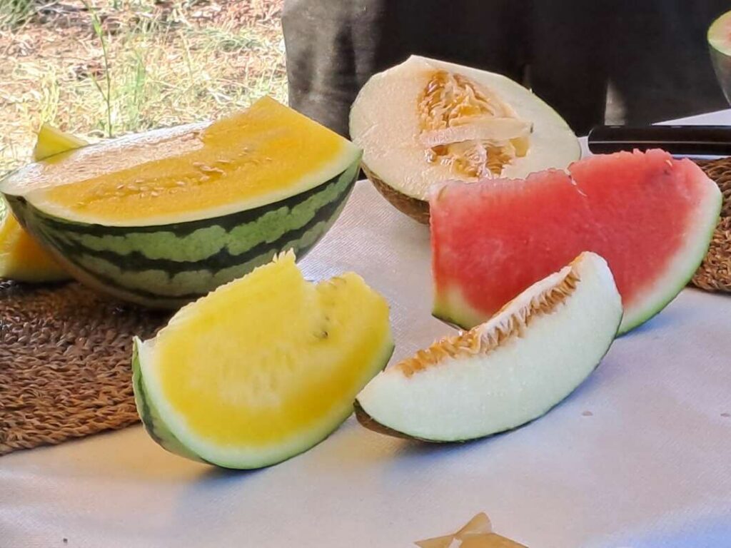 Nules inaugura la campaña del melón de la marjal para promocionar los productos locales