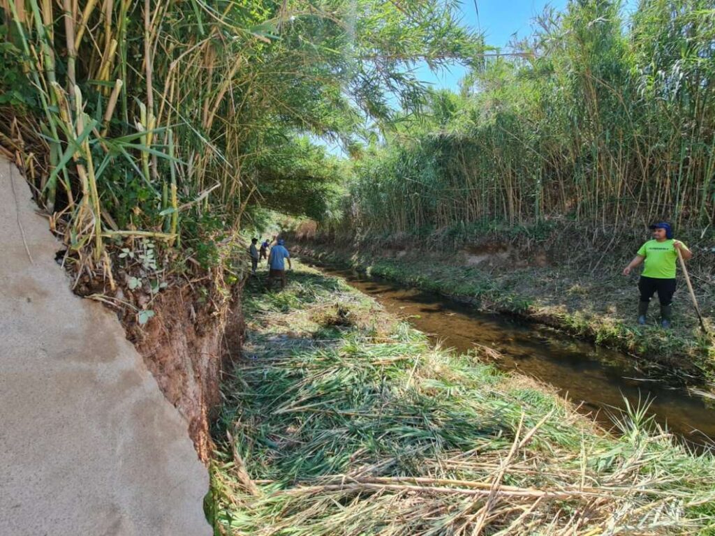 Nules contracta 46 persones aturades del sector agrari per a treballs de manteniment