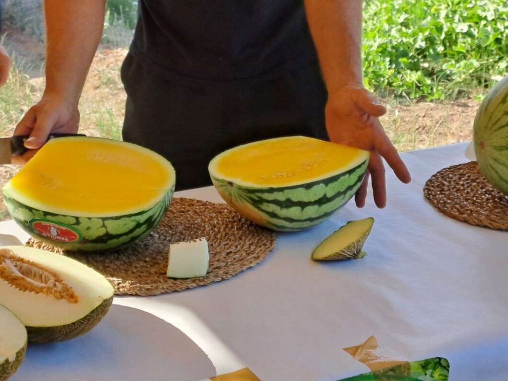 Nules inaugura la campaña del melón de la marjal para promocionar los productos locales