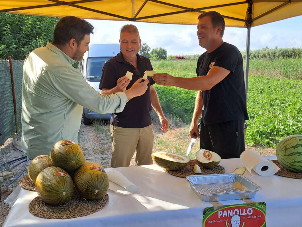 Nules inaugura la campaña del melón de la marjal para promocionar los productos locales
