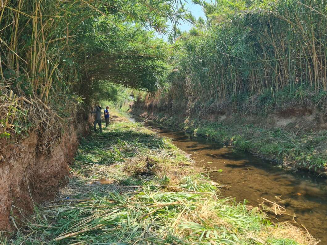 Narrow irrigation canal bordered by tall bamboo; two people stand near the far end inspecting the waterway.