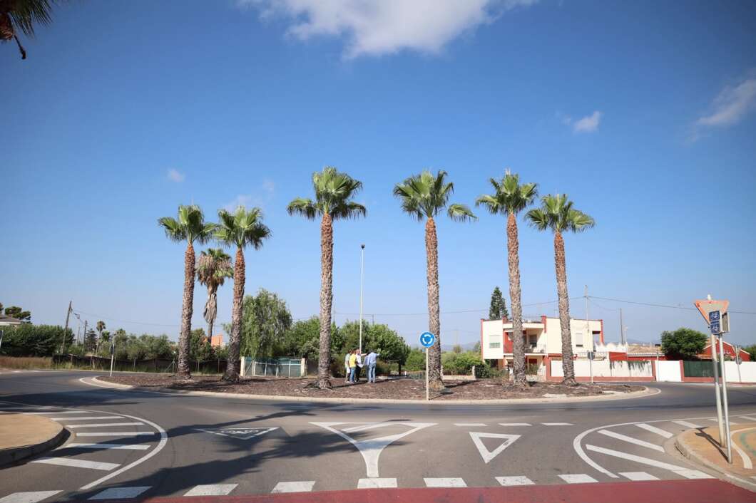 Roundabout with five tall palm trees, a group of people standing near the center, and a clear blue sky while a suburban street surrounds it.