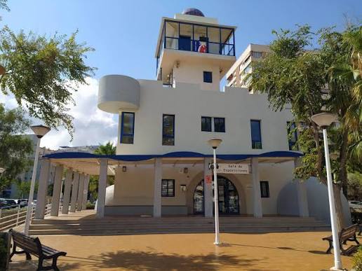 White modern building with a curved blue overhang, a central entrance, and a small tower with a flag on top, set among palm trees and benches.