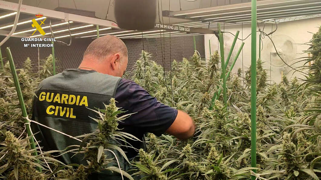 Oropesa detenidos por marihuana