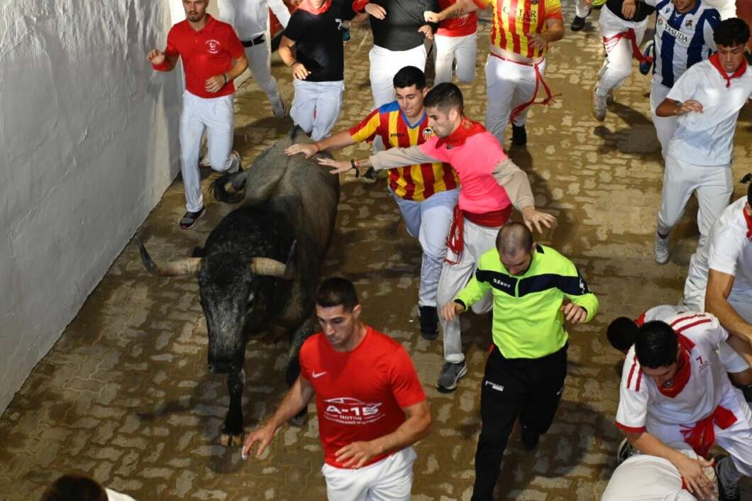 À Punt retransmet les corregudes de Sant Fermí i recupera els bous en la televisió pública 20 anys després