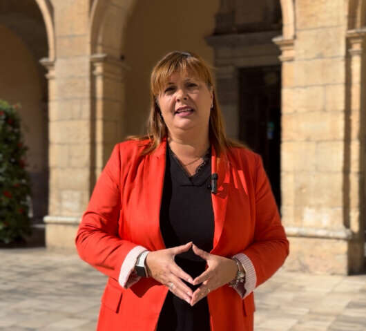 El PSPV proposa una xarxa de refugis climàtics per a Castelló