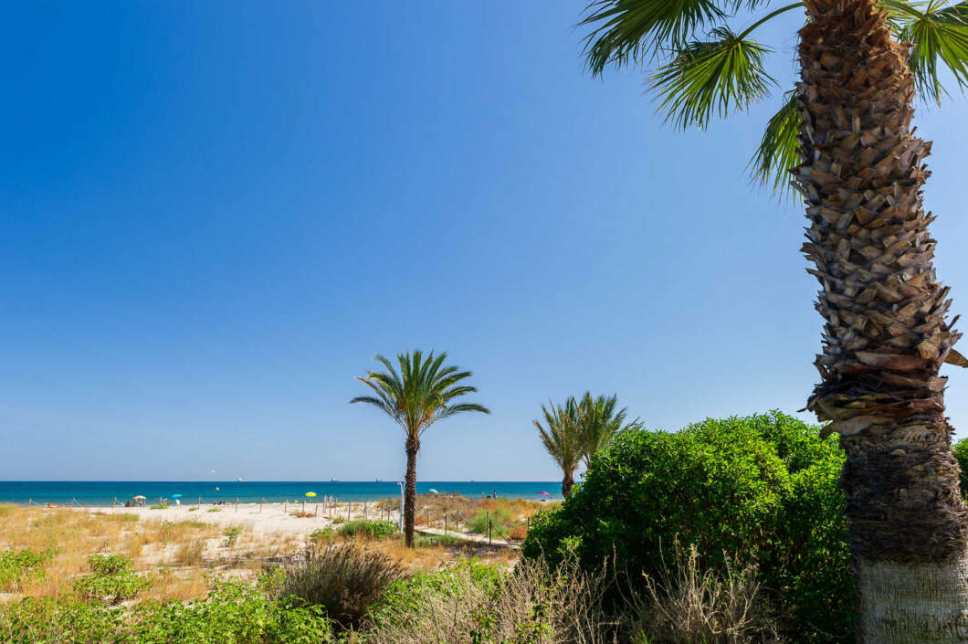 Sunny beach scene with a blue ocean, clear sky, and palm trees along a sandy shore.