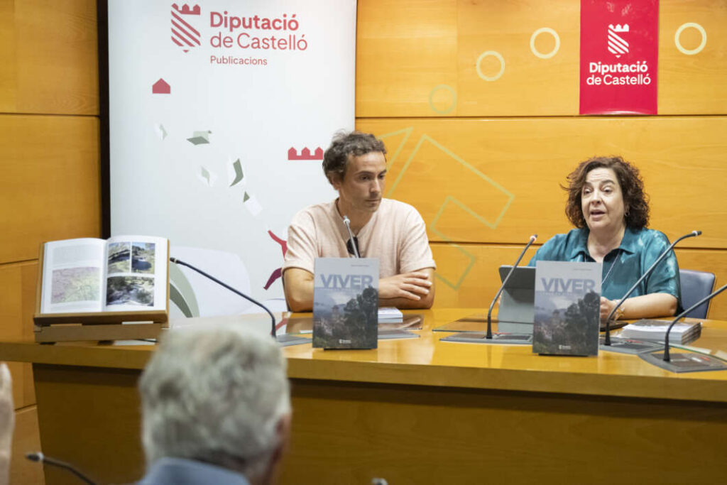 Panel discussion at a timber-toned lectern; two speakers sit behind microphones with copies of a book titled 'VIVER' on the table and a displayed open book on the left; banners read Diputació de Castelló/Publicacions in the background.