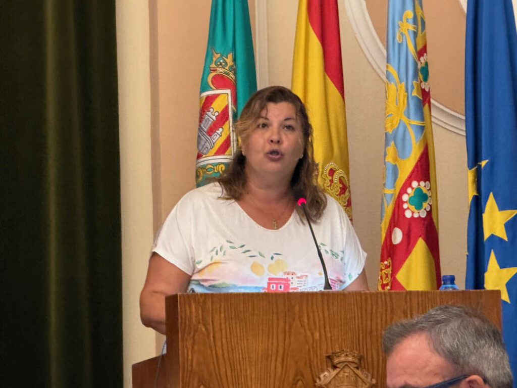 Pleno Castellón julio 2026