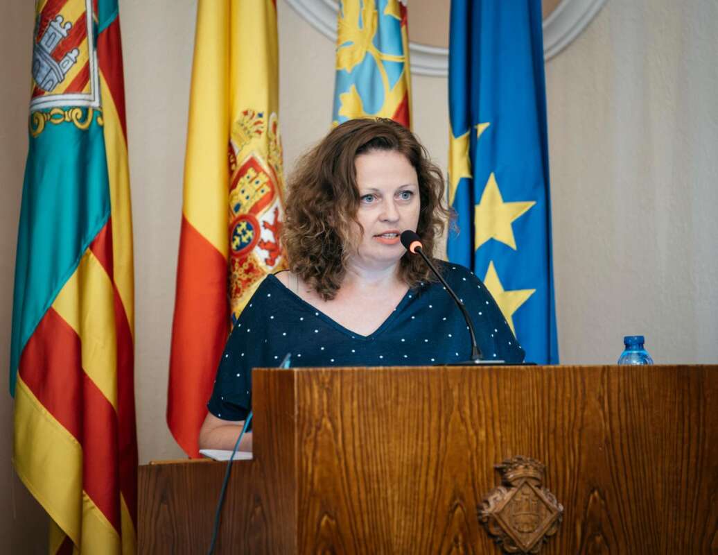 El PSPV aconsegueix el suport unànime al pla 'Castelló Sense Amiant'