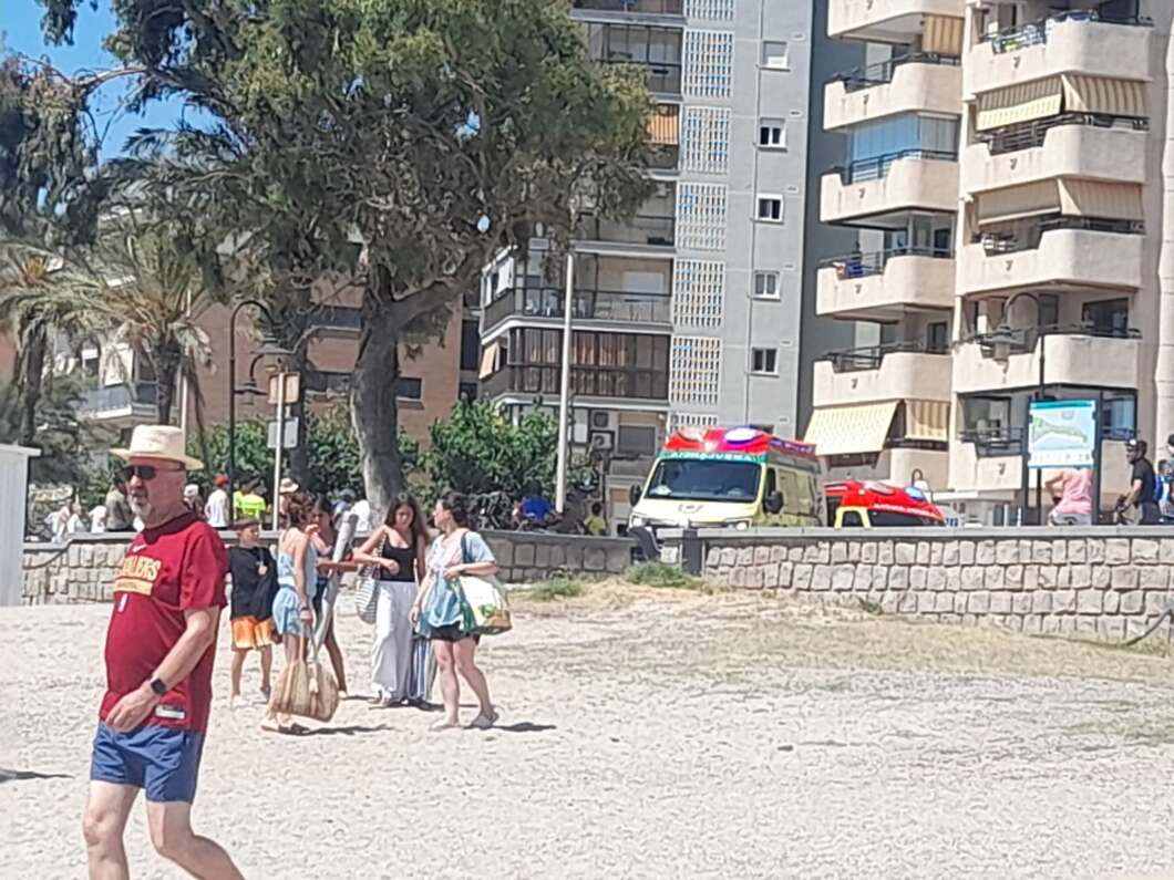 Group of people in casual clothes standing on a pebbly beach with a large tree and apartment buildings in the background, an ambulance nearby on a road behind them.