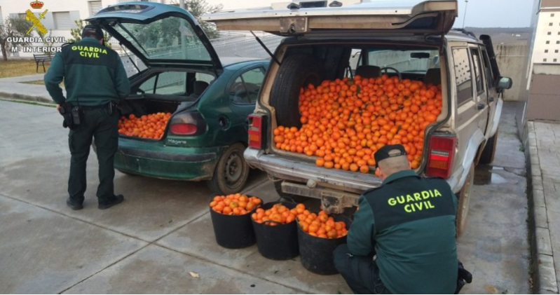 Los robos en el campo valenciano caen un 30 %, pero baja su resolución