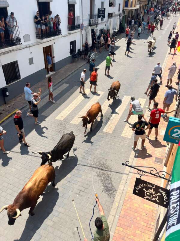 Soneja presenta una Semana Taurina con novedades y más de dos semanas de fiestas
