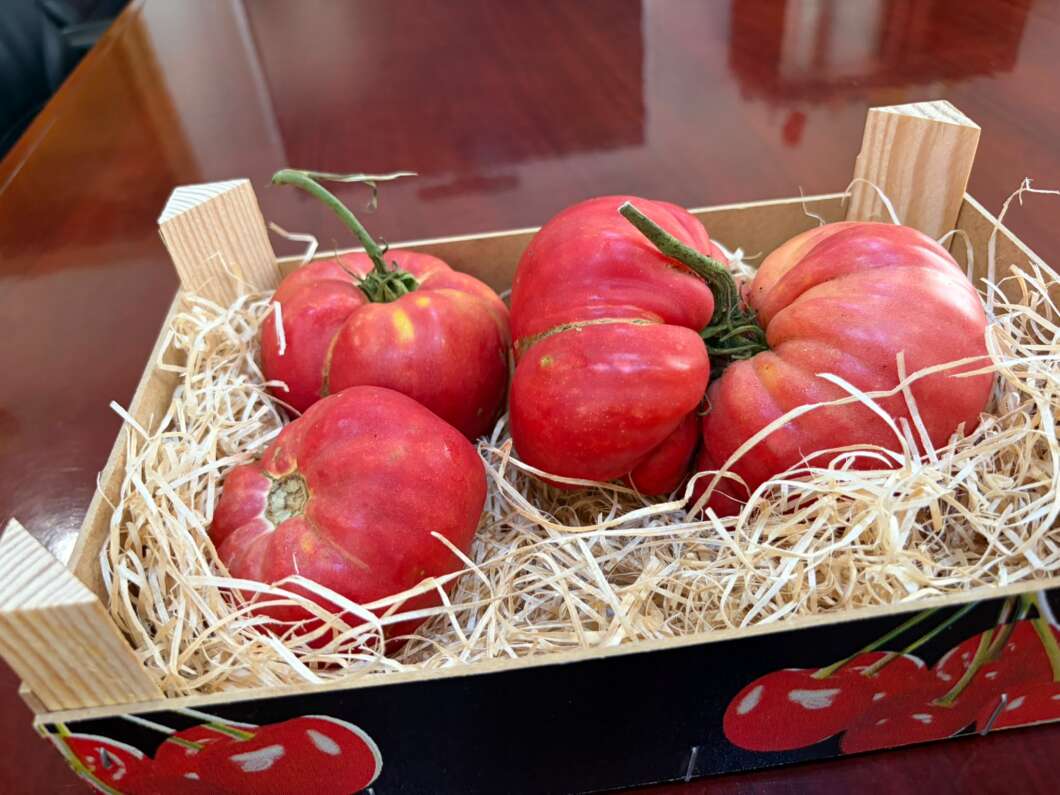 Red tomatoes nestled in straw inside a small wooden crate for display or gift.
