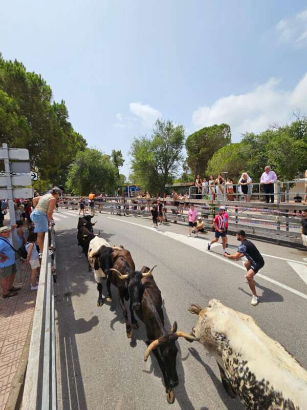 Oropesa del Mar vive su primera gran jornada taurina de las fiestas de San Jaime