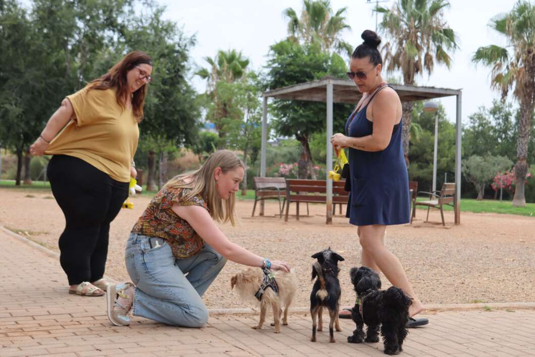 visita parc caní vila-real