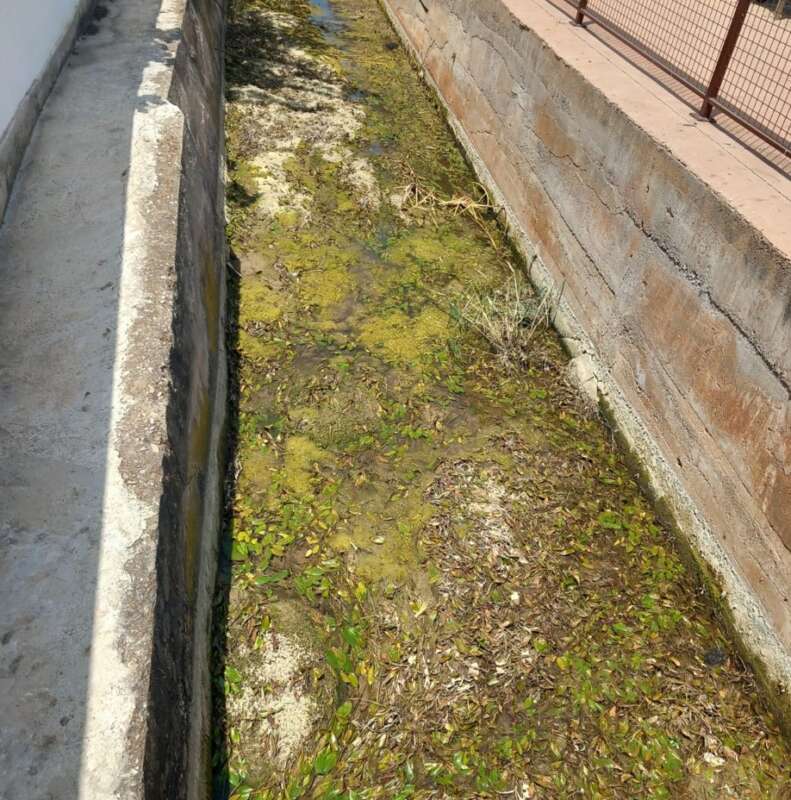 El PSPV reclama a Carrasco que actue davant l’abandó de la séquia del Camí la Ratlla