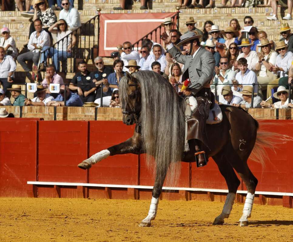 À Punt retransmet esta setmana bous des de Ciudad Real i Conca