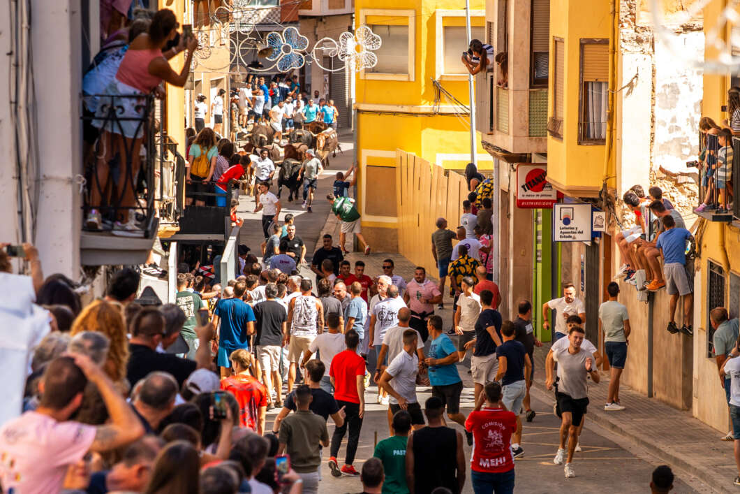 L’Alcora obri els festejos taurins amb sis bous de Domínguez Camacho