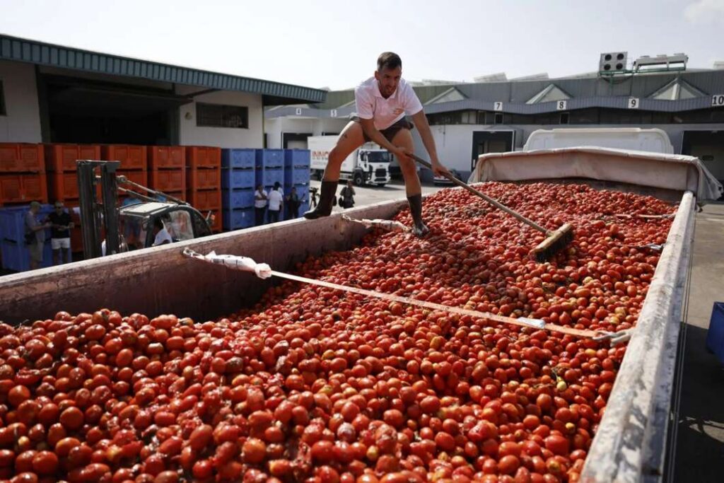 À Punt retransmetrà en directe la Tomatina de Buñol