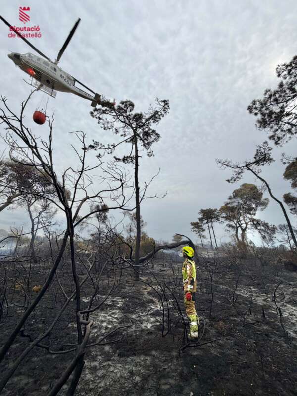 El Consorcio Provincial de Bomberos de Castellón apoya la extinción del incendio de El Saler