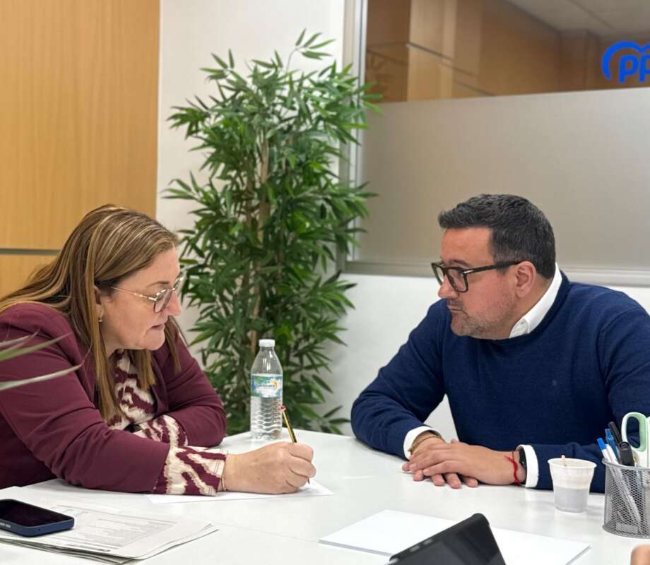 El PP qüestiona el Pla Municipal d’Igualtat de Vila-real