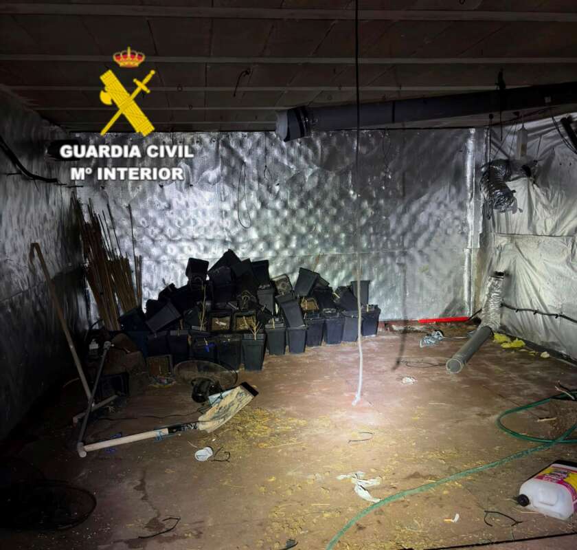 La Guardia Civil desmantela en Borriol una plantación de marihuana oculta en una vivienda
