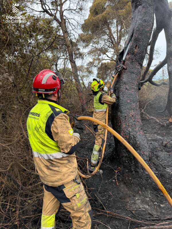 El Consorcio Provincial de Bomberos de Castellón apoya la extinción del incendio de El Saler