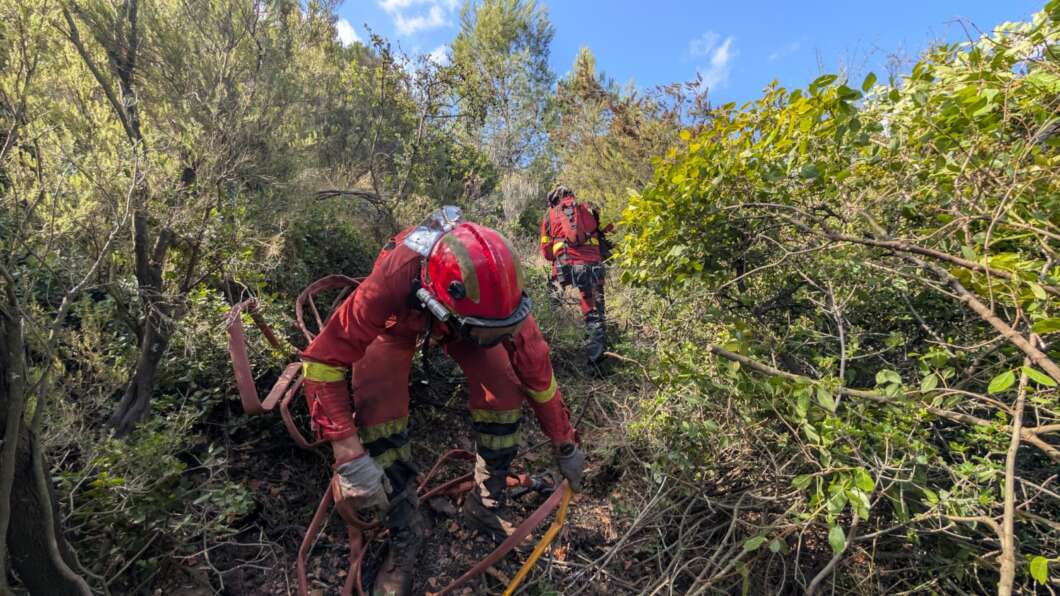 trabajos incendio segorbe
