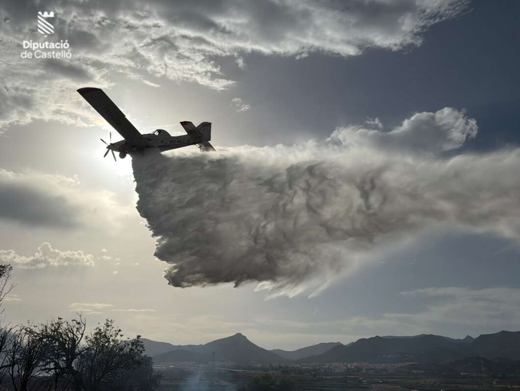 Bomberos controlan un incendio de cañar en la Vall d’Uixó