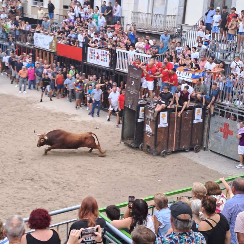 Nules bous per la vila