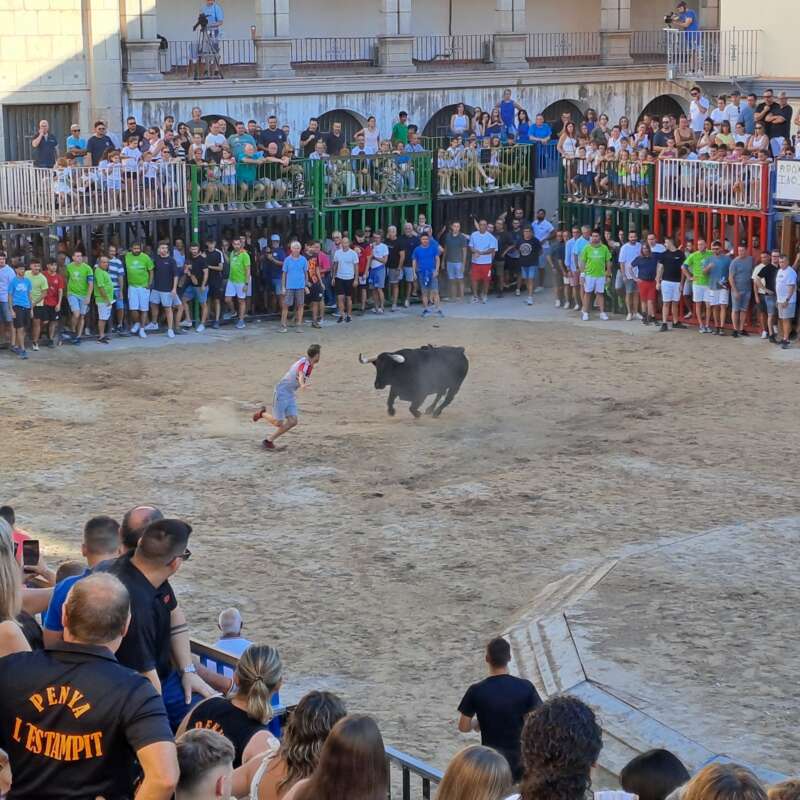 Nules tanca les festes de Sant Bartomeu amb una gran jornada taurina