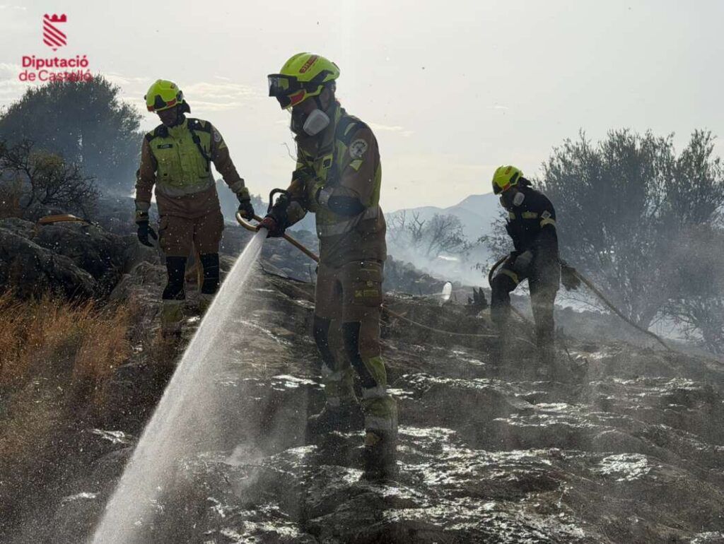 Bomberos controlan un incendio de cañar en la Vall d’Uixó